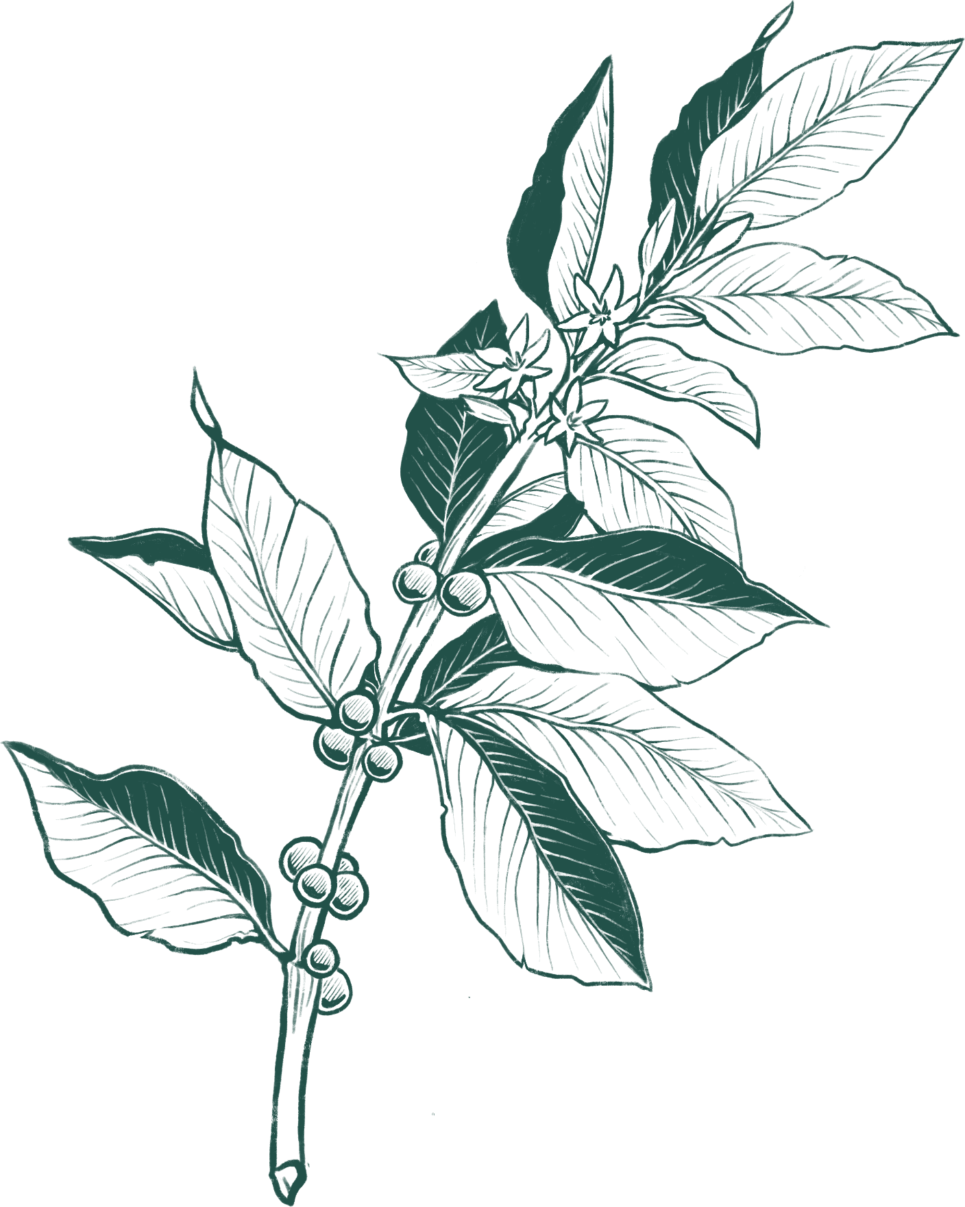 Brand art — maker, forest